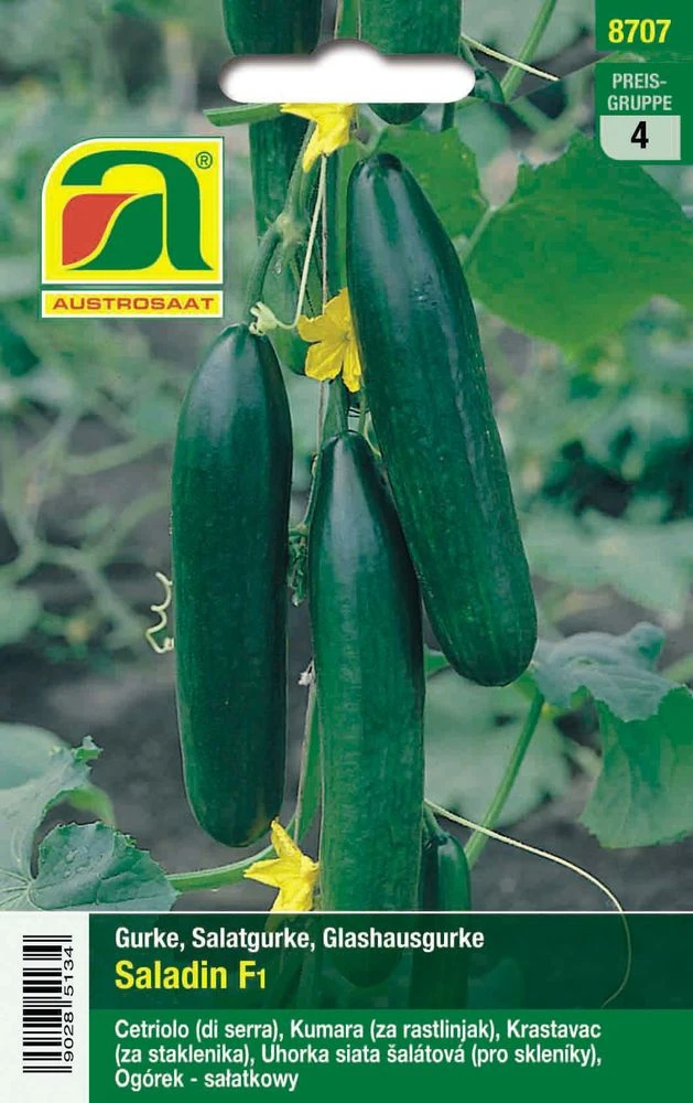 Salatgurke Saladin F1 | Glashausgurkensamen Von Austrosaat 4 Salatgurke Saladin F1 | Glashausgurkensamen Von Austrosaat – Bild 2