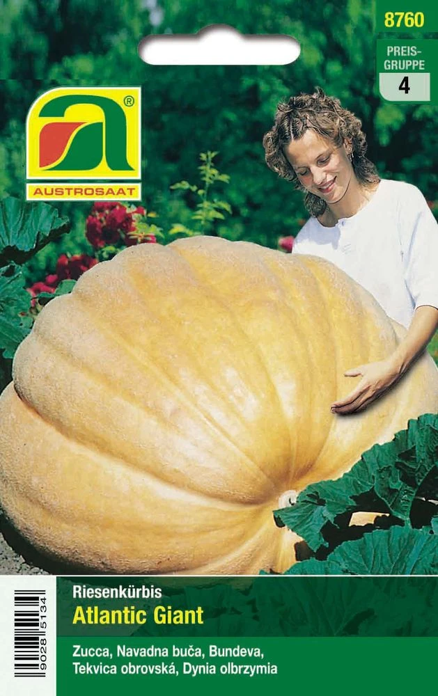 Riesenkürbis Atlantic Giant | Riesenkürbissamen Von Austrosaat 3 Riesenkürbis Atlantic Giant | Riesenkürbissamen Von Austrosaat