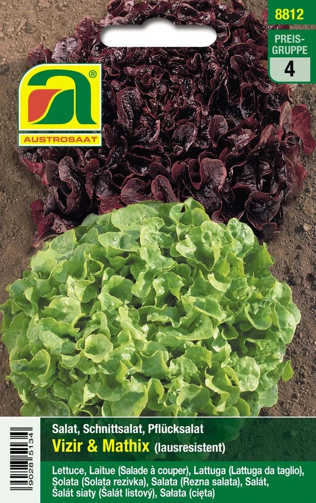 Eichblattsalat Elexir & Starix | Eichblattsalatsamen Von Austrosaat 3 Eichblattsalat Elexir & Starix | Eichblattsalatsamen Von Austrosaat