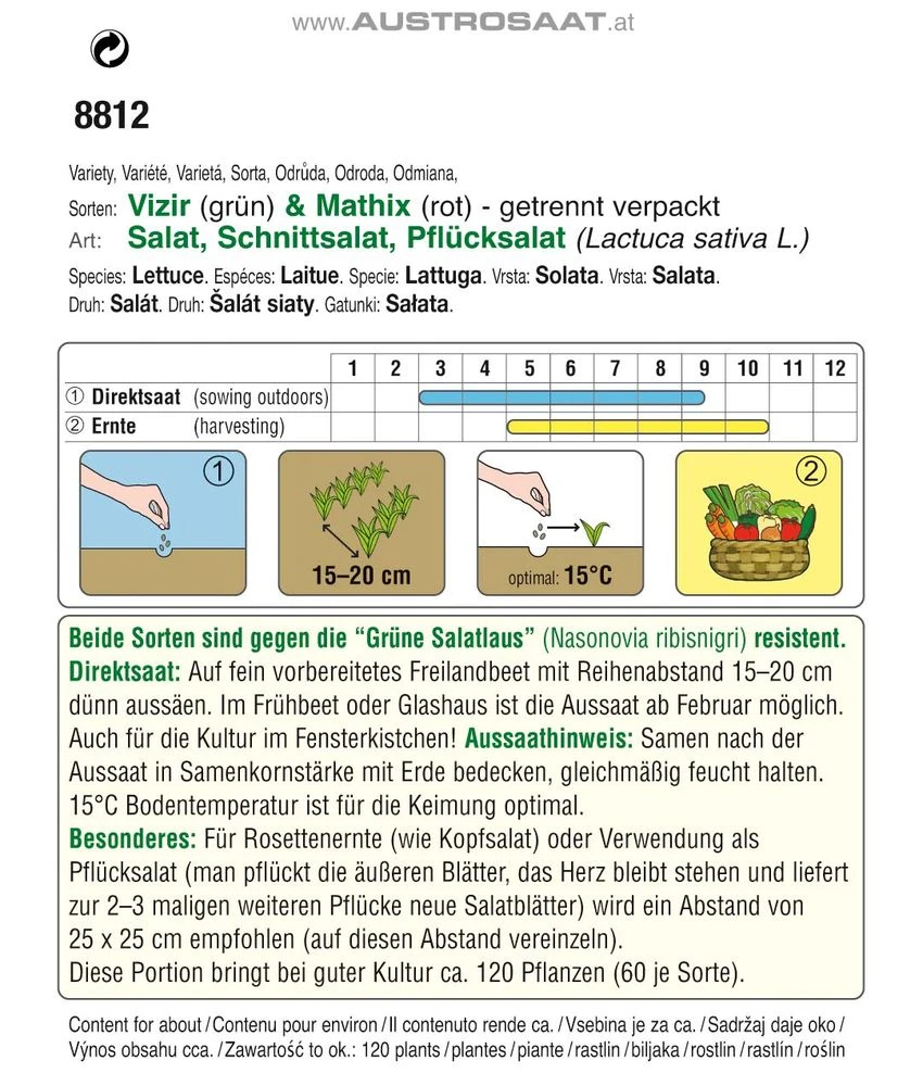 Eichblattsalat Elexir & Starix | Eichblattsalatsamen Von Austrosaat 4 Eichblattsalat Elexir & Starix | Eichblattsalatsamen Von Austrosaat – Bild 2