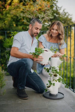 Sissi Strawberry Erdbeerturm Starter Weiß (4 Etagen) | Erdbeertürme Von Gusta Garden -Geschäft Für Pflanzensamenbedarf 543337 Sissy Strawberry starter weiss 4 Etagen 5