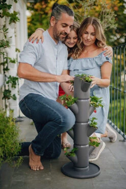 Sissi Strawberry Erdbeerturm Starter Anthrazit (4 Etagen) | Erdbeertürme Von Gusta Garden -Geschäft Für Pflanzensamenbedarf 543338 Sissy Strawberry starter anthrazit 4 Etagen 2