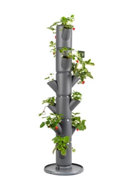 Sissi Strawberry Erdbeerturm Classic Anthrazit (6 Etagen) | Erdbeertürme Von Gusta Garden 13 Sissi Strawberry Erdbeerturm Classic Anthrazit (6 Etagen) | Erdbeertürme Von Gusta Garden -Geschäft Für Pflanzensamenbedarf 543340 Sissy Strawberry classic anthrazit 6 Etagen