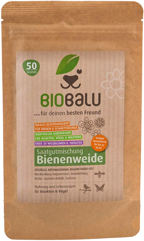 Bienenweide Region Nord-Ost (mehrjährig, 50 G) | Bienenwiese Von Biobalu 5 Bienenweide Region Nord-Ost (mehrjährig, 50 G) | Bienenwiese Von Biobalu – Bild 3
