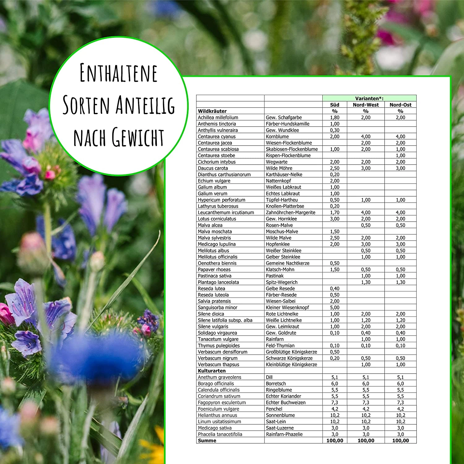 Bienenweide Region Nord-Ost (mehrjährig, 50 G) | Bienenwiese Von Biobalu 3 Bienenweide Region Nord-Ost (mehrjährig, 50 G) | Bienenwiese Von Biobalu