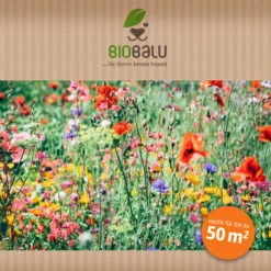 Bienenweide Region Nord-West (mehrjährig, 50 G) | Bienenwiese Von Biobalu -Geschäft Für Pflanzensamenbedarf 543483 Bienenweide Region Nord West mehrjaehrig 50 g 3