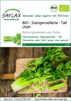 Stangensellerie Tall Utah | BIO Stangenselleriesamen Von Saflax -Geschäft Für Pflanzensamenbedarf 543576 Bio Stangensellerie Tall Utah 18751 sa 0