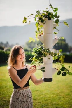 Sissi Strawberry Erdbeerturm Hanging Anthrazit (4 Etagen) | Erdbeertürme Von Gusta Garden 8 Sissi Strawberry Erdbeerturm Hanging Anthrazit (4 Etagen) | Erdbeertürme Von Gusta Garden -Geschäft Für Pflanzensamenbedarf 543598 Sissi Strawberry Hanging anthrazit 4 Etagen 2