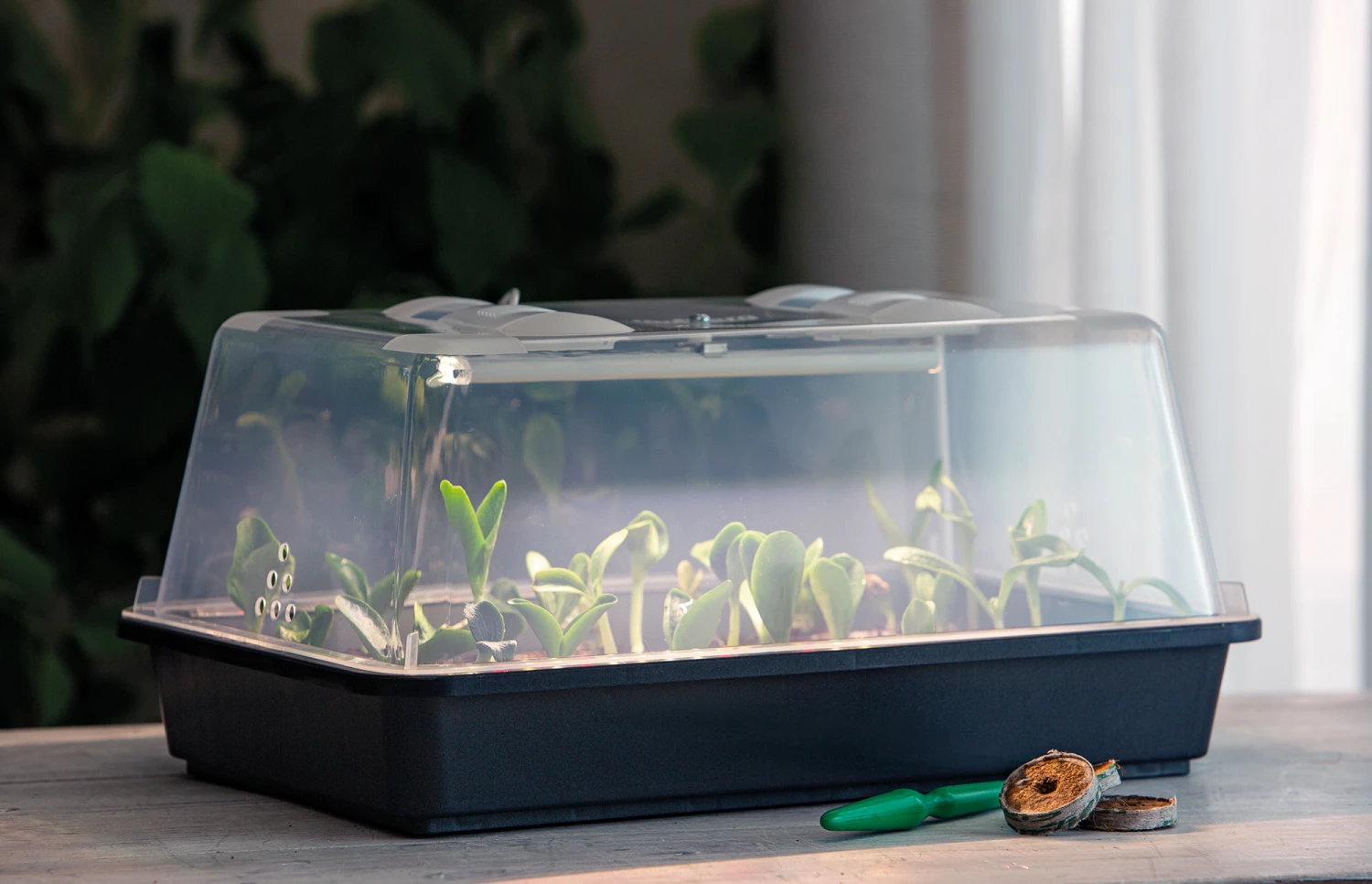 Gewächshaus Lumio M LED | Zimmergewächshaus Von Romberg 3 Gewächshaus Lumio M LED | Zimmergewächshaus Von Romberg