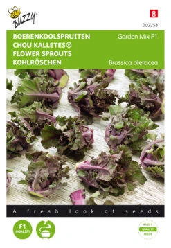 Rosenkohl Kalettes Garden Mix F1 | Rosenkohlsamen Von Buzzy Seeds