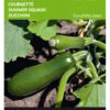 Zucchini Black Forest F1 | Zucchinisamen Von Buzzy Seeds [MHD 07/2024] -Geschäft Für Pflanzensamenbedarf 544858 Buzzy Zucchini Black Forest F1