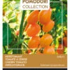 Kirschtomate Dolly F1 | Kirschtomatensamen Von Buzzy Seeds 1 Kirschtomate Dolly F1 | Kirschtomatensamen Von Buzzy Seeds -Geschäft Für Pflanzensamenbedarf 545233 Buzzy Kirschtomate Dolly F1