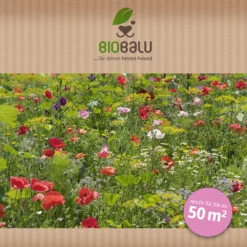 Saatgutmischung Sommerzauber (30 G) | Bienenwiese Von Biobalu -Geschäft Für Pflanzensamenbedarf 547420 Saatgutmischung Sommerzauber 30 g 1