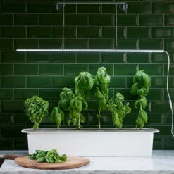 LED-Pflanzenleuchte Mit Adapter 23W (85 Cm) | Beleuchtung Von Nelson Garden 7 LED-Pflanzenleuchte Mit Adapter 23W (85 Cm) | Beleuchtung Von Nelson Garden -Geschäft Für Pflanzensamenbedarf 547623 LED Pflanzeneuchte mit Adapter 23W 85 cm 5567A ng 2