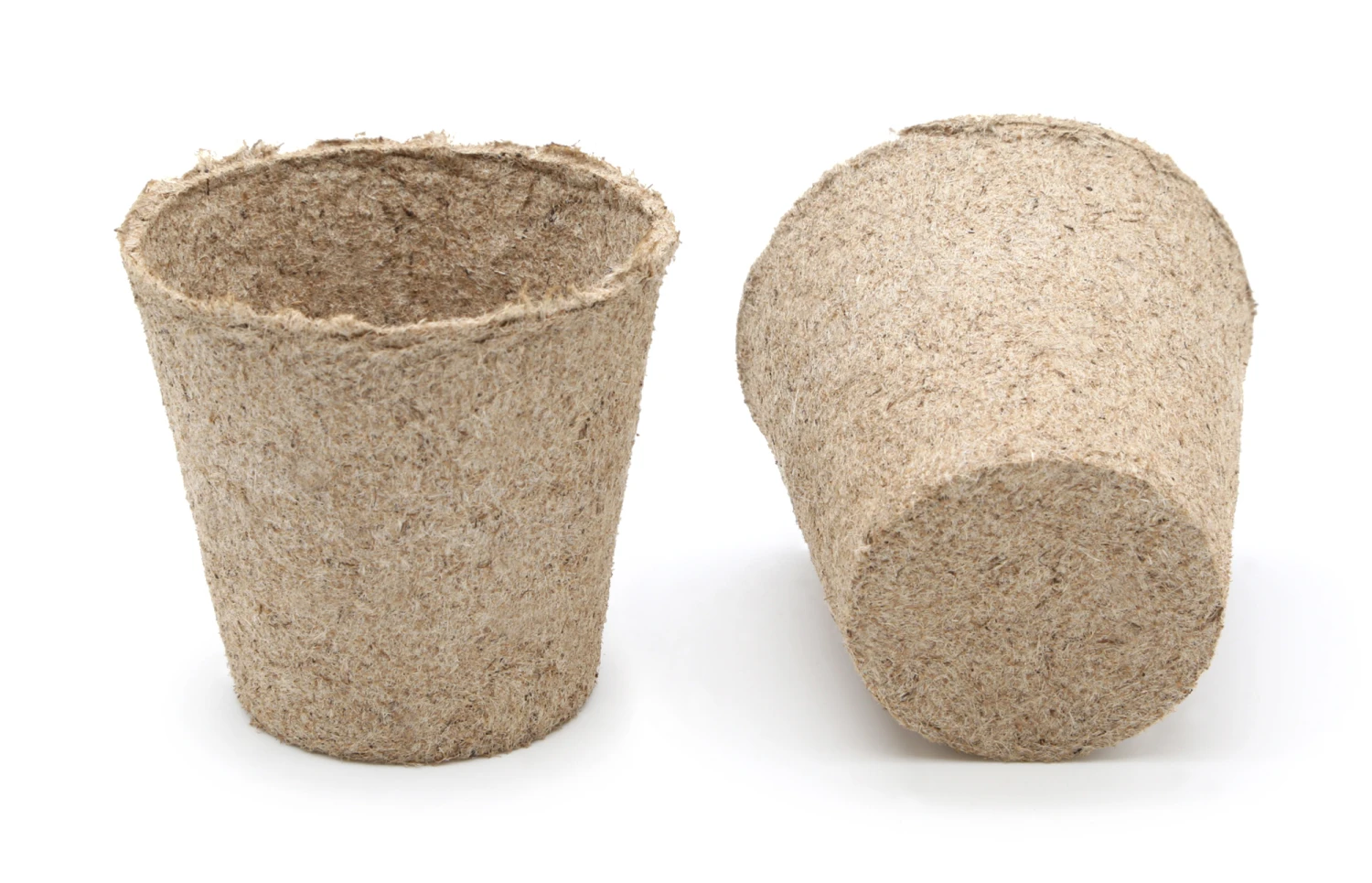 6 Cm Anzuchttopf Rund (3000 Stück) | Anzuchttöpfe Von Jiffy 6 6 Cm Anzuchttopf Rund (3000 Stück) | Anzuchttöpfe Von Jiffy – Bild 4