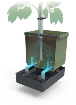 Tom Tomato Tomatentopf Dunkelgrün | Tomatentöpfe Von Gusta Garden 10 Tom Tomato Tomatentopf Dunkelgrün | Tomatentöpfe Von Gusta Garden -Geschäft Für Pflanzensamenbedarf 547958 Tom Tomato Dunkelgruen 2