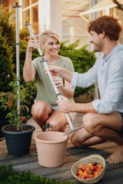 Tomato Buddy Tomatenrankhilfe | Rankhilfen Von Gusta Garden -Geschäft Für Pflanzensamenbedarf 547960 Tomato Buddy 6