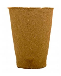 9 X 7 Cm Anzuchttopf Rund (1280 Stück) | Anzuchttöpfe Von Fertil -Geschäft Für Pflanzensamenbedarf 548148 9 x 7 cm Anzuchttoepfe rund 1280 Stueck 509 C 1