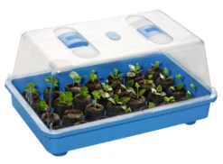 Zimmergewächshaus Marco Blau | Zimmergewächshaus Von Romberg