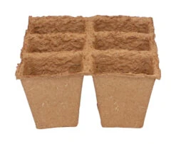 6 X 6 Cm Anzuchttopf Strips (32 Stück) | Anzuchttöpfe Von Sogo -Geschäft Für Pflanzensamenbedarf 548516 6 x 6 cm Organic Toepfe strips 32 Stueck 887312 sg 2