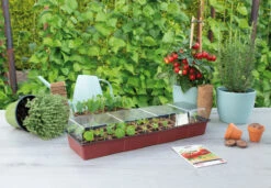 Fensterbank Gewächshaus | Zimmergewächshaus Von Sogo -Geschäft Für Pflanzensamenbedarf 548522 Fensterbank Gewaechshaus 887340 sg 2