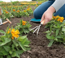 Handharke | Gartengeräte Von Sogo -Geschäft Für Pflanzensamenbedarf 548544 Handharke 887436 sg 3