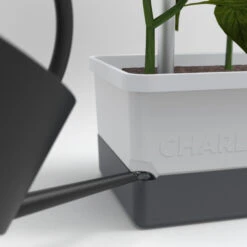 Charly Chili Chilitopf Hellgrau | Chilitöpfe Von Gusta Garden 11 Charly Chili Chilitopf Hellgrau | Chilitöpfe Von Gusta Garden -Geschäft Für Pflanzensamenbedarf 548628 Charly Chili Chilitopf hellgrau 100710 gg 3