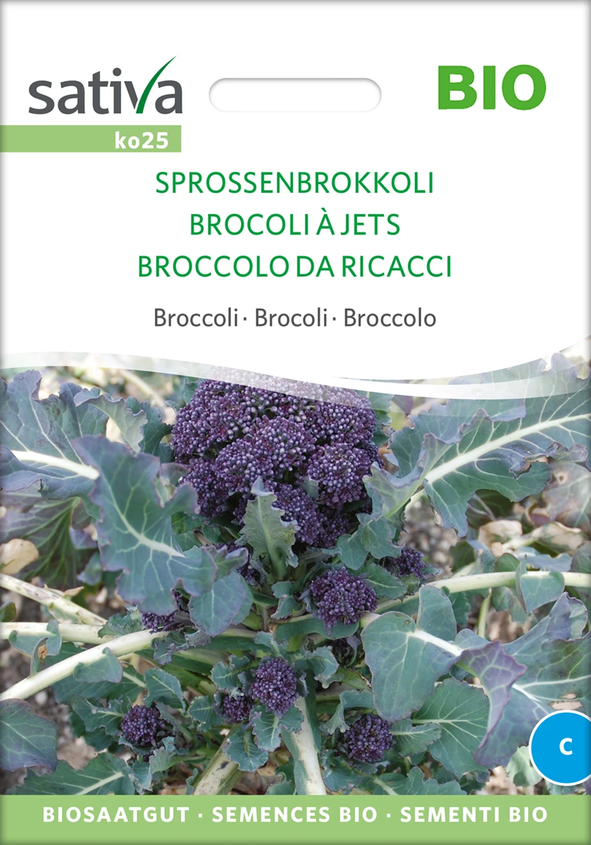 Sprossenbrokkoli | BIO Brokkolisamen Von Sativa Rheinau 4 Sprossenbrokkoli | BIO Brokkolisamen Von Sativa Rheinau – Bild 2