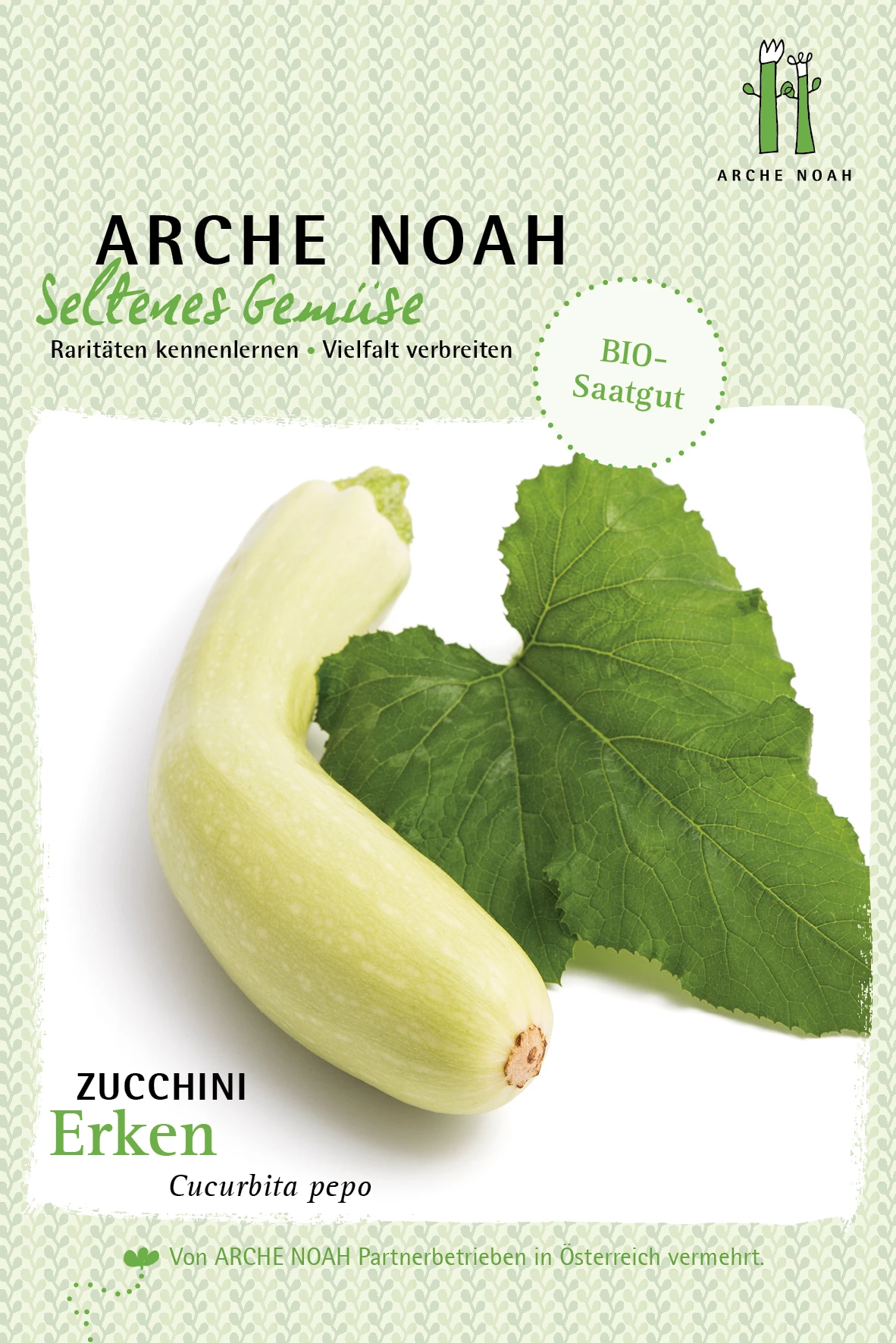 Zucchini Erken | BIO Zucchinisamen Von Arche Noah 3 Zucchini Erken | BIO Zucchinisamen Von Arche Noah