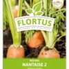 Möhre Nantaise 2 (100 Stück) | Möhrensamen Von FLORTUS -Geschäft Für Pflanzensamenbedarf 549855 Moehre Nantaise 2 100 Stueck 2000 0472 100x 1