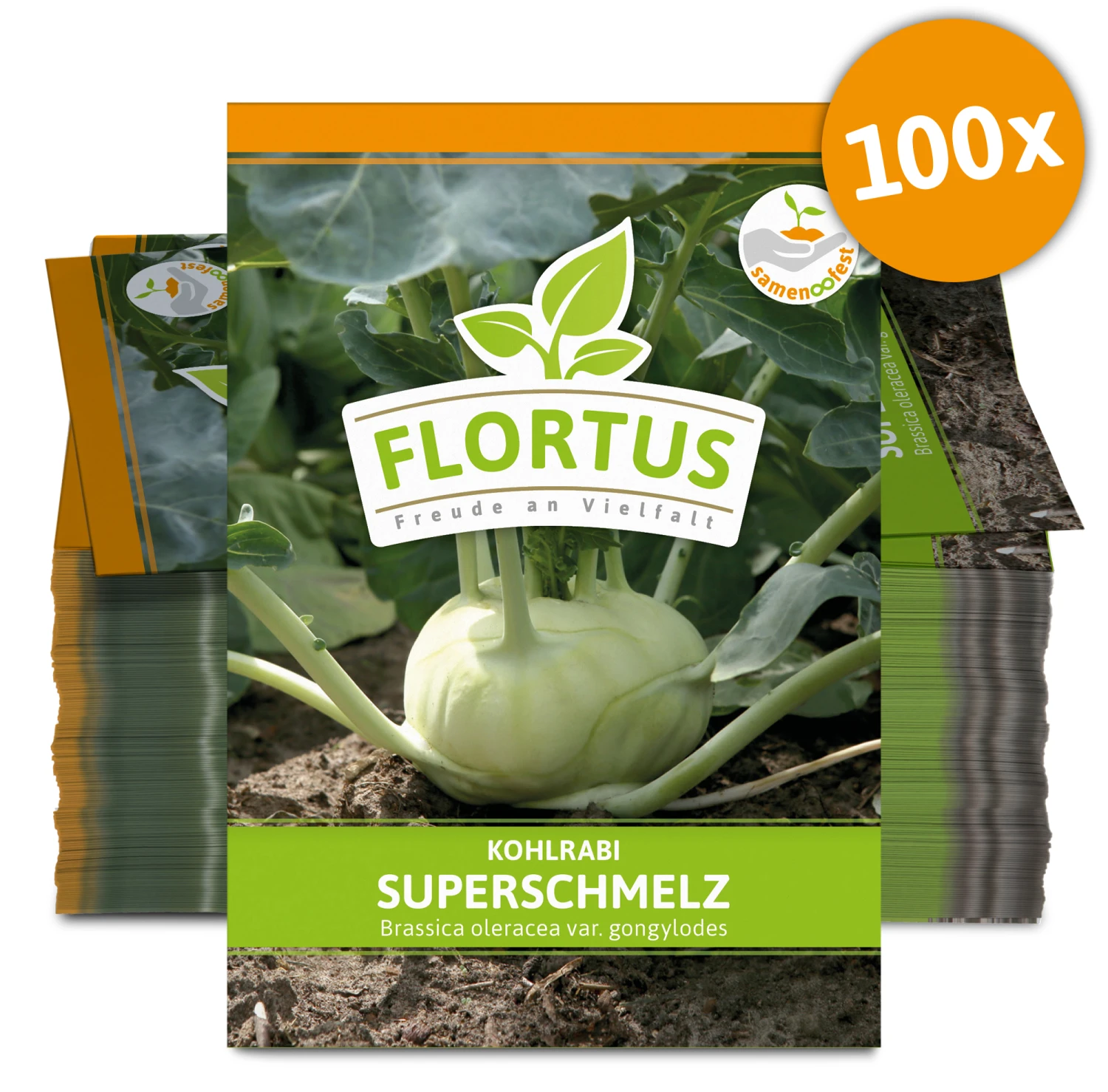 Kohlrabi Superschmelz (100 Stück) | Kohlrabisamen Von FLORTUS 4 Kohlrabi Superschmelz (100 Stück) | Kohlrabisamen Von FLORTUS – Bild 2