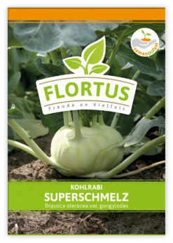 Kohlrabi Superschmelz (100 Stück) | Kohlrabisamen Von FLORTUS 7 Kohlrabi Superschmelz (100 Stück) | Kohlrabisamen Von FLORTUS -Geschäft Für Pflanzensamenbedarf 549856 Kohlrabi Superschmelz 100 Stueck 2000 0473 100x 1