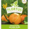 Hokkaidokürbis Uchiki Kuri (100 Stück) | Hokkaidokürbissamen Von FLORTUS 1 Hokkaidokürbis Uchiki Kuri (100 Stück) | Hokkaidokürbissamen Von FLORTUS -Geschäft Für Pflanzensamenbedarf 549859 Hokkaidokuerbis Uchiki Kuri 100 Stueck 2000 0476 100x 1