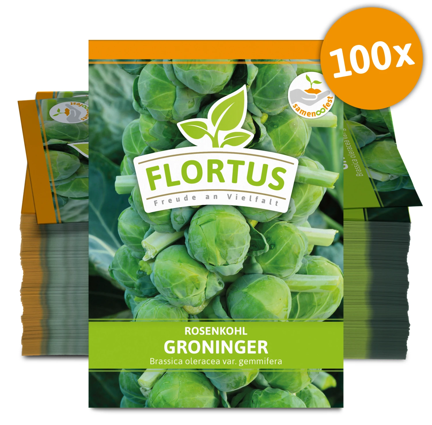 Rosenkohl Groninger (100 Stück) | Rosenkohlsamen Von FLORTUS 3 Rosenkohl Groninger (100 Stück) | Rosenkohlsamen Von FLORTUS