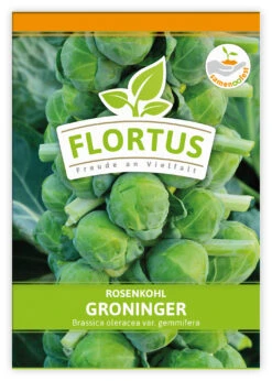 Rosenkohl Groninger (100 Stück) | Rosenkohlsamen Von FLORTUS 7 Rosenkohl Groninger (100 Stück) | Rosenkohlsamen Von FLORTUS -Geschäft Für Pflanzensamenbedarf 549860 Rosenkohl Groninger 100 Stueck 2000 0477 100x 1