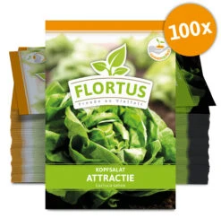 Kopfsalat Attractie (100 Stück) | Kopfsalatsamen Von FLORTUS 7 Kopfsalat Attractie (100 Stück) | Kopfsalatsamen Von FLORTUS -Geschäft Für Pflanzensamenbedarf 549861 Kopfsalat Attractie 100 Stueck 2000 0478 100x 0