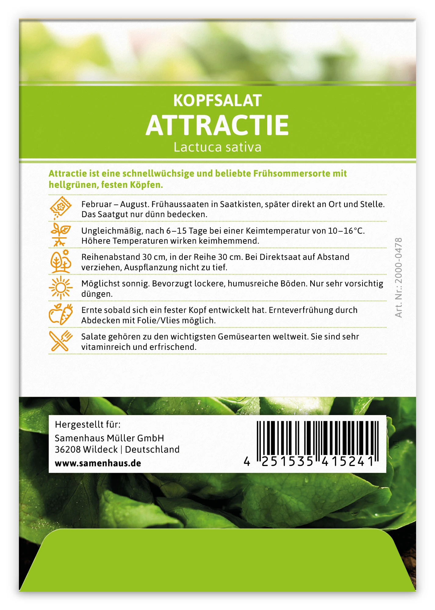 Kopfsalat Attractie (100 Stück) | Kopfsalatsamen Von FLORTUS 3 Kopfsalat Attractie (100 Stück) | Kopfsalatsamen Von FLORTUS