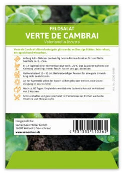 Feldsalat Verte De Cambrai (100 Stück) | Feldsalatsamen Von FLORTUS -Geschäft Für Pflanzensamenbedarf 549863 Feldsalat Verte de Cambrai 100 Stueck 2000 0480 100x 2
