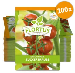 Kirschtomate Zuckertraube (100 Stück) | Kirschtomatensamen Von FLORTUS