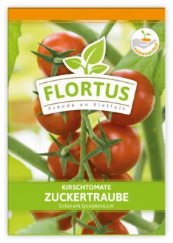 Kirschtomate Zuckertraube (100 Stück) | Kirschtomatensamen Von FLORTUS -Geschäft Für Pflanzensamenbedarf 549864 Kirschtomate Zuckertraube 100 Stueck 2000 0481 100x 1