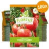 Tomate Moneymaker (100 Stück) | Tomatensamen Von FLORTUS 1 Tomate Moneymaker (100 Stück) | Tomatensamen Von FLORTUS -Geschäft Für Pflanzensamenbedarf 549868 Tomate Moneymaker 100 Stueck 2000 0485 100x 0