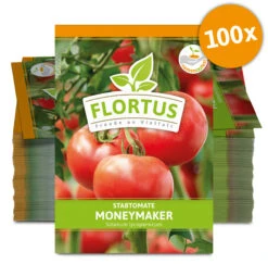 Tomate Moneymaker (100 Stück) | Tomatensamen Von FLORTUS