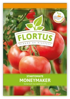 Tomate Moneymaker (100 Stück) | Tomatensamen Von FLORTUS -Geschäft Für Pflanzensamenbedarf 549868 Tomate Moneymaker 100 Stueck 2000 0485 100x 1