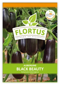 Aubergine Black Beauty (100 Stück) | Auberginensamen Von FLORTUS 7 Aubergine Black Beauty (100 Stück) | Auberginensamen Von FLORTUS -Geschäft Für Pflanzensamenbedarf 549874 Aubergine Black Beauty 100 Stueck 2000 0491 100x 1