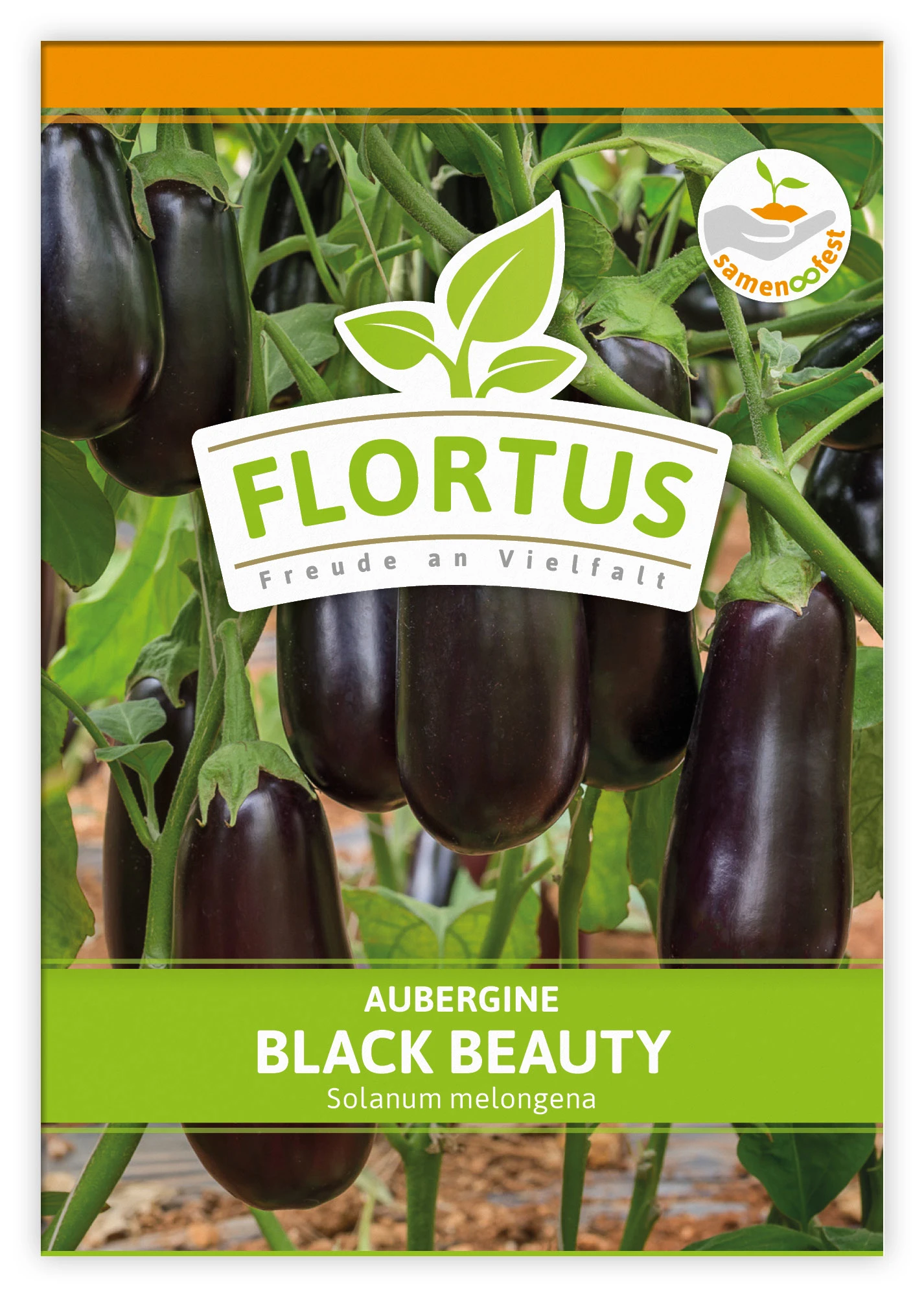 Aubergine Black Beauty (100 Stück) | Auberginensamen Von FLORTUS 5 Aubergine Black Beauty (100 Stück) | Auberginensamen Von FLORTUS – Bild 3