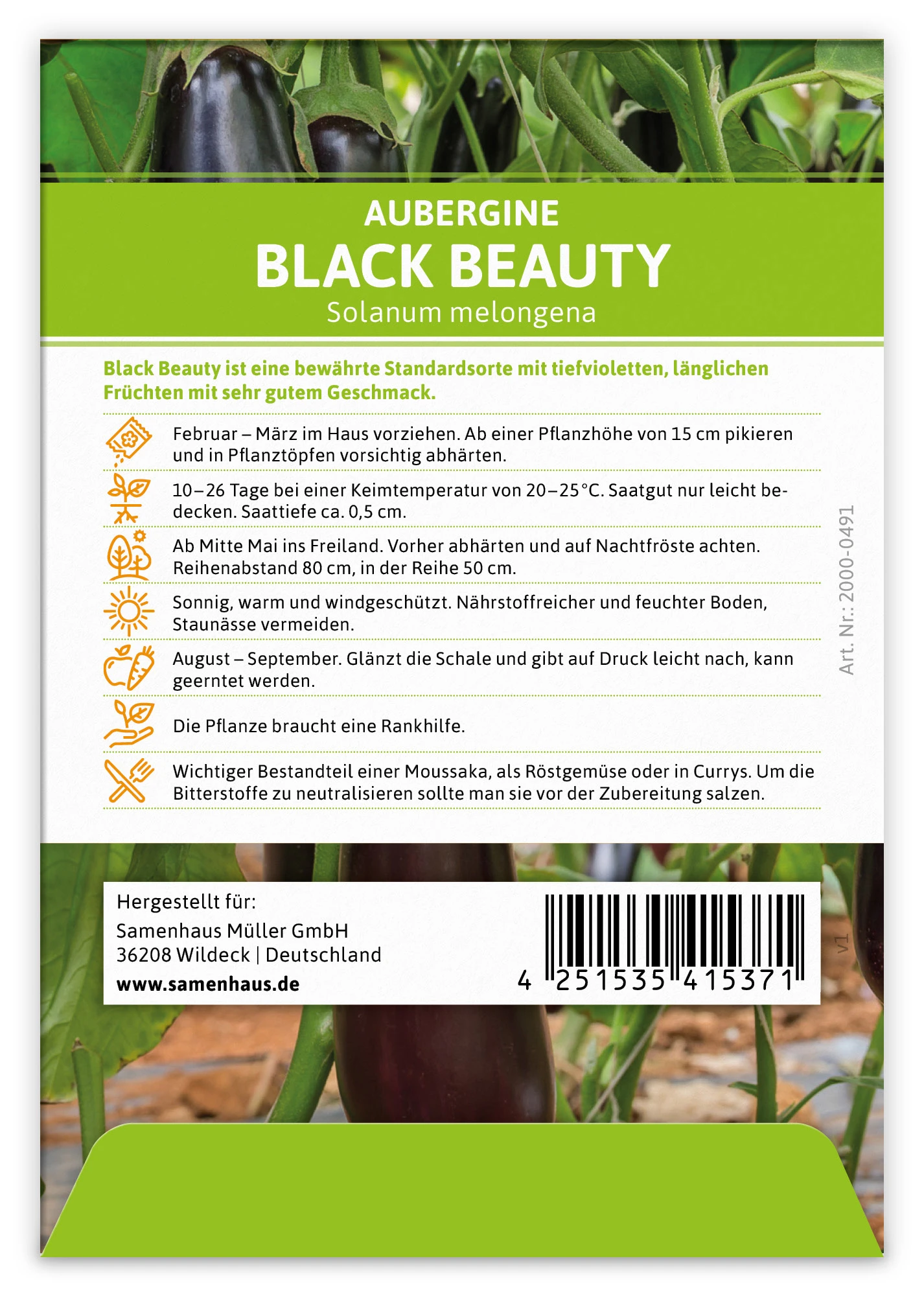 Aubergine Black Beauty (100 Stück) | Auberginensamen Von FLORTUS 3 Aubergine Black Beauty (100 Stück) | Auberginensamen Von FLORTUS