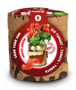 Greensquad Snack-Tomaten | Anzuchtsets Von Baza 11 Greensquad Snack-Tomaten | Anzuchtsets Von Baza -Geschäft Für Pflanzensamenbedarf 550259 Greensquad Snack Tomaten 18027709 bz 0