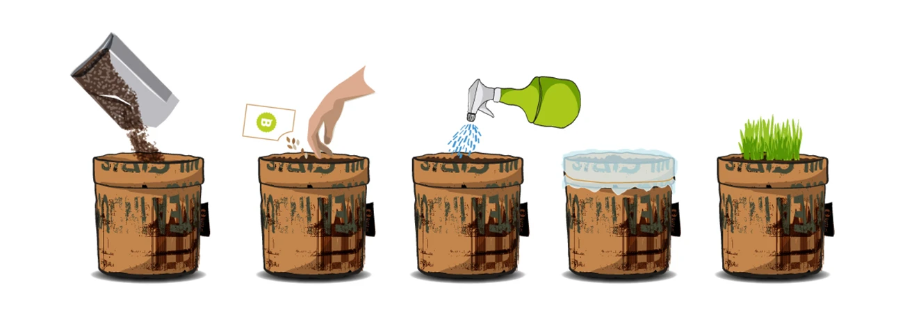 Greensquad Snack-Tomaten | Anzuchtsets Von Baza 5 Greensquad Snack-Tomaten | Anzuchtsets Von Baza – Bild 3