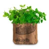Duo-Garten Mojito | Anzuchtsets Von Baza 1 Duo-Garten Mojito | Anzuchtsets Von Baza -Geschäft Für Pflanzensamenbedarf 550262 Duo Garten Mojito 18037310 bz 1