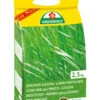 Langzeit Rasendünger (2,5 Kg) | Rasendünger Von ASB Greenworld 2 Langzeit Rasendünger (2,5 Kg) | Rasendünger Von ASB Greenworld -Geschäft Für Pflanzensamenbedarf 550435 Langzeit Rasenduenger 2 5 kg 313515 asb 0